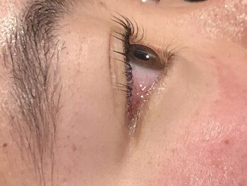 ピクシーボブ(Pixie Bob)/★マツパ、直角スタイル