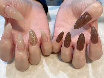 定額シンプルコース