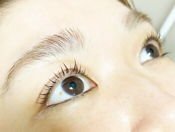 エイチアンドコー(H&Co.)/ぱっちり　まつげパーマ