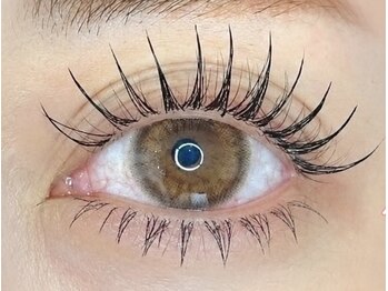 エミュー(emu)の写真/最新のLEDフラットラッシュや圧倒的なキープ力を誇るLEDグルーを導入したまつげサロン◎リピート多数！