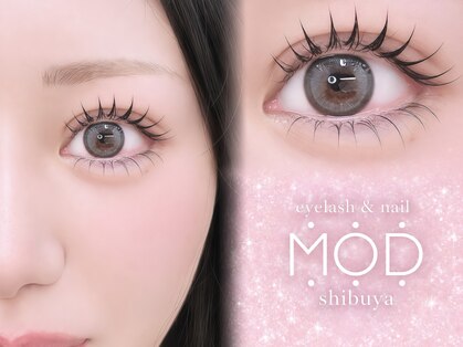 モッズ(M.O.D)の写真