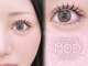 モッズ(M.O.D)の写真