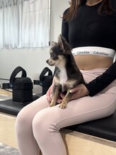 レアリゼ(Realize)/ペット同伴可能＊