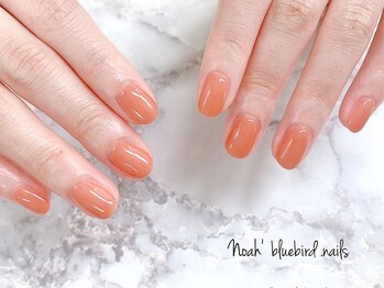 ノアブルーバードネイルズ(Noah' bluebird .nails)/オリジナルカラーで美しい