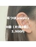 耳つぼジュエリー8個（片耳4個）　　3,900円
