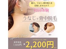 シルクスタンダード(SILK STANDARD)