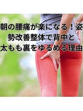 はたらくからだ研究所/『背中と腿裏』をゆるめる理由