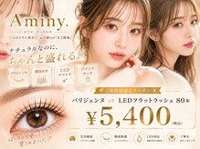 アミニー(Aminy)