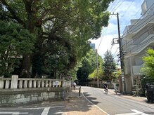 アーチ(arch)/金王神社に沿って左に曲がります