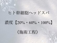 アンス(anth:)/（14）の後、（19）へ続きます