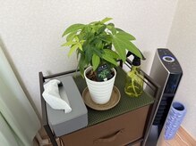 かず整体院の雰囲気（整体/揉みほぐし/肩こり/腰痛）