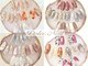 ドルチェネイル(Dolce.Nail)の写真/【人気No.1!!350種以上★Dolceコース】トレンド～定番まで豊富にご用意☆カラーチェンジ&パーツアレンジOK!