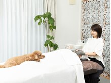 サロン ド ラジュニール(Salon de Rajeunir)の雰囲気(犬のいるサロンです。苦手な方は別フロア対応可能です。)