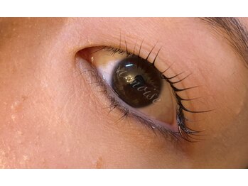 アルモワーズ(armoise)/奥目ロッド！まつげパーマ