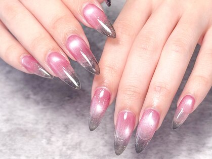 モルフォ 千駄ヶ谷(Morpho)の写真