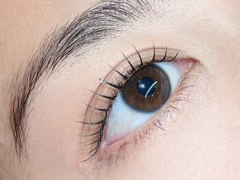 シール(Syl)の写真/【ラッシュリフト☆話題のまつ毛パーマ】自まつ毛で魅せる印象的な目元に☆綺麗な立ち上がり◎