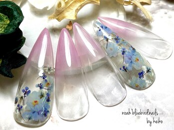 ノアブルーバードネイルズ(Noah' bluebird .nails)/DIAMIチップ長さだしアート：1