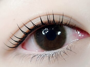 チュリップサカエ(Tulipe sakae)/カールデザイン