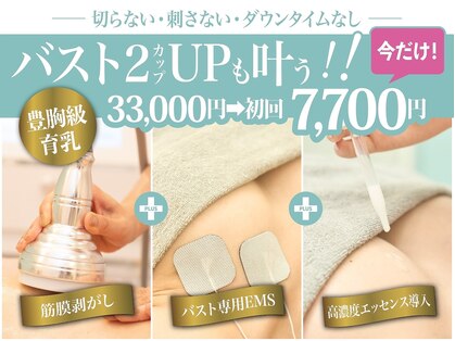 美人バスト 渋谷店の写真