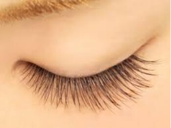 リア アイズ 藤井寺店(Li'a eyes)の写真/最新技術☆フラットラッシュ取り扱っております◎モチがよく軽い付け心地で華やかな目元に♪