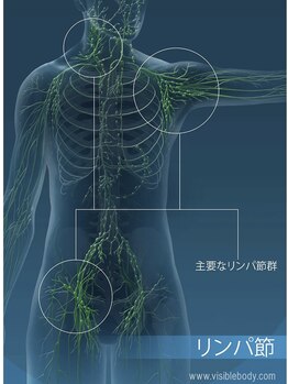 ルミナフローム(LuminaFlowm)/リンパ節