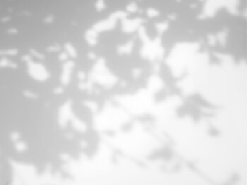 タンポポ 赤羽(tampopo)/【フェイシャルエステ】【赤羽】