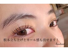 ボラード(boulard)/立ち上げとカールの欲張り