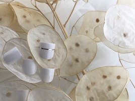 Fホワイトマットセパレート