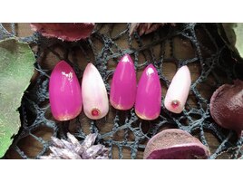 アート２本~コース☆