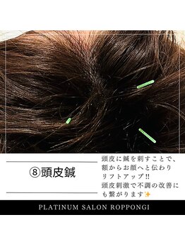 プラチナサロン 六本木/８）頭皮鍼