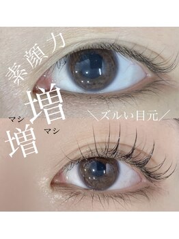 アーフ(ARF)/マツエク フラットラッシュ