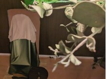 よもぎ蒸し×オイルトリートメントが人気！