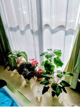 トリート(treat)/一緒に成長します