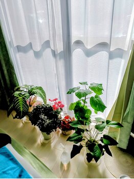 トリート(treat)/一緒に成長します