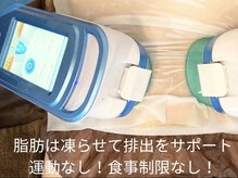 ドクターボディクリスタル(Dr.Body Crystal)の雰囲気（脂肪は温めダイエットからシャーベット状にして痩せる時代！）