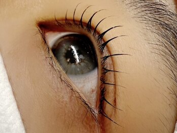 バロニワ(BARONIWA)/まつげパーマ/マツエク/富山市