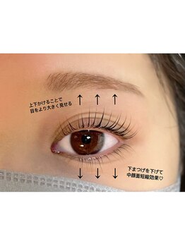 カルムトウキョウ 恵比寿本店(CALM TOKYO)/まつげパーマ上下恵比寿代官山