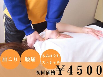 整体マイスター