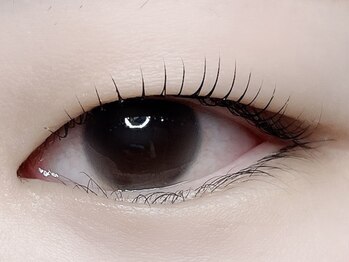 チュリップサカエ(Tulipe sakae)/まつげパーマ