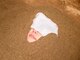 ヌカー 王子(Nuca-王子)の写真/暑い日が続くと冷房や冷たい飲み物で体の内側が冷えてしまうことありませんか?自分の身体を整える時間を。