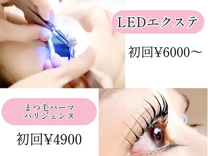 シュシュ(Chouchou)の写真