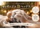 セラピエール 梅田店の写真
