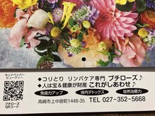 プチローズ/コリをとって元気にすごそう