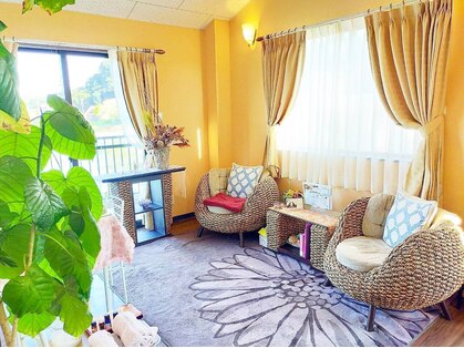 アクア(AQUA)の写真