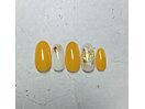 定額デザイン　￥7,000