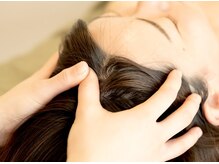 スロース(Sloth)の雰囲気(肩の力を抜いてナマケモノ気分。心も体もふんわりほぐれる)