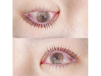 シフォン(Chiffon.)の写真