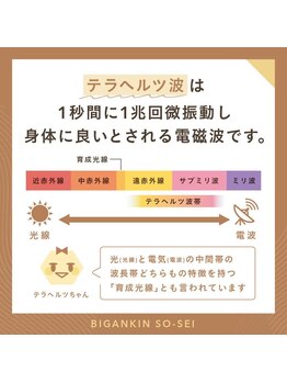 エステサロン アールスタイル(R-style)/テラボーラー