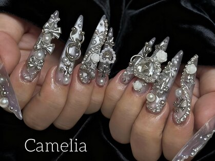 カメリア(Camelia)の写真