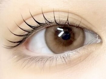 セレブヒルズ 加古川店(Celeb Hill's)の写真/韓国アイドル束感まつ毛パーマが人気No1◎何度でも【スマート支払い¥2850/上下¥3990】